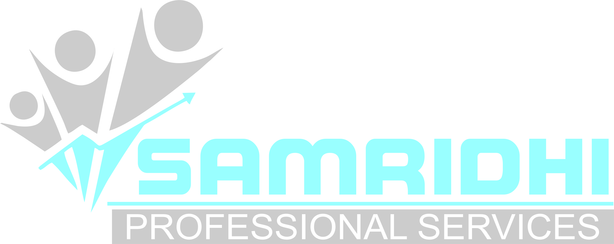 Footer Logo